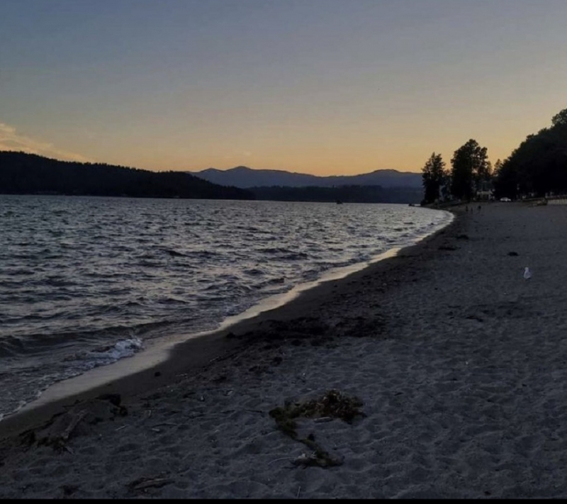 Shore of Lake Couer d'Alane