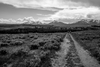 On the trail in Yellowstone National Park
