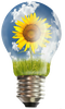 Creative Lightbulb with Sunflower
