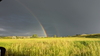 Rainbow in a storm
